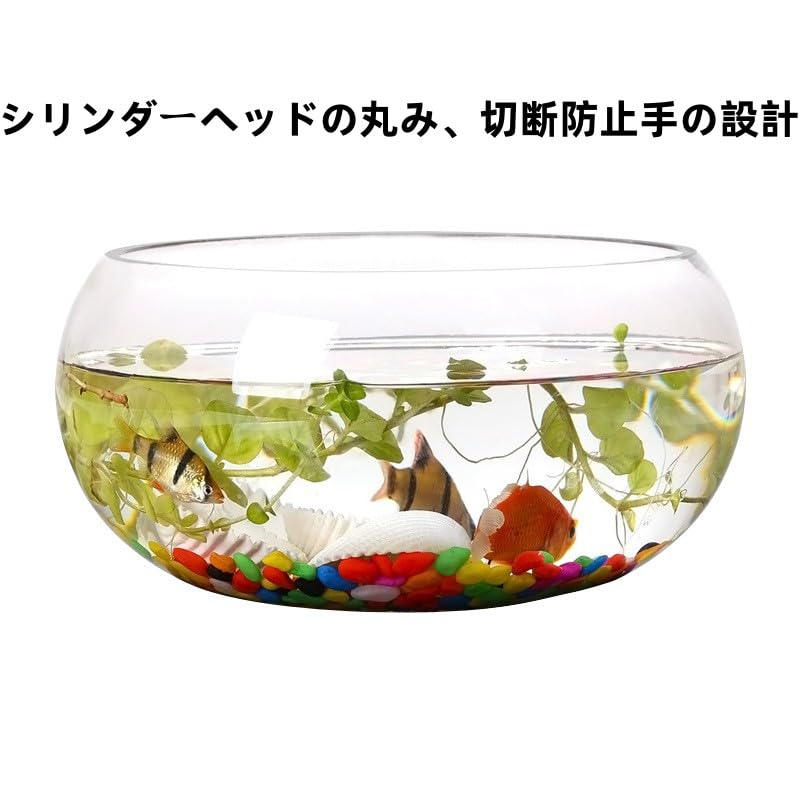Amazon | 金魚鉢 ガラス 金魚鉢 ガラス 猫 金魚鉢 猫が入る 猫が入る